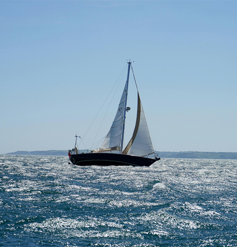 品牌发展为导向